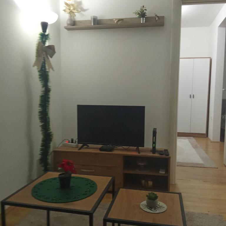 Apartmani Janićijević 2 - One-Bedroom Apartment - 2
