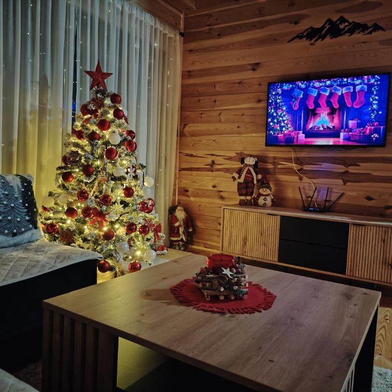 Durmitor sky - Two-Bedroom House - 5