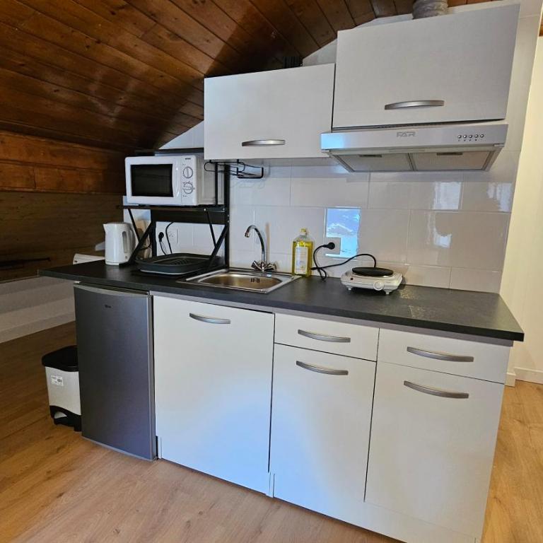 Mini cozy au MontBlanc - Appartement 1 Chambre - 1