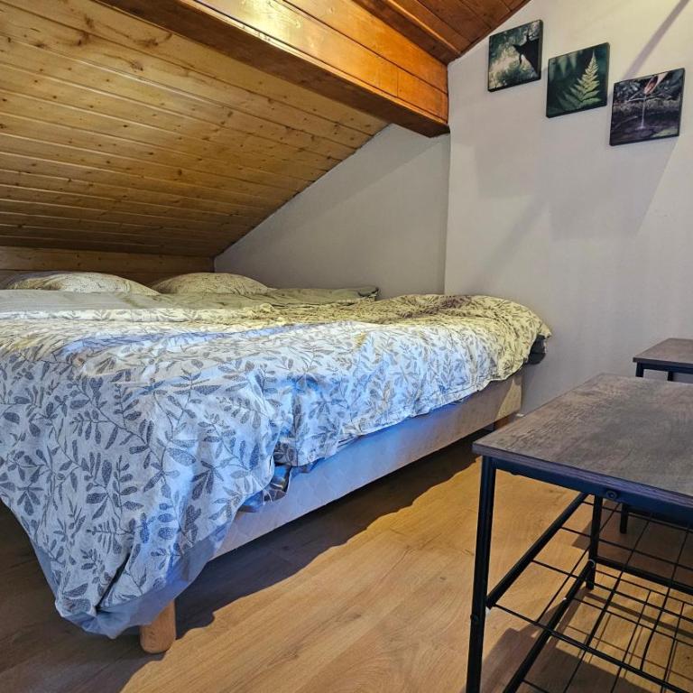 Mini cozy au MontBlanc - Appartement 1 Chambre - 5