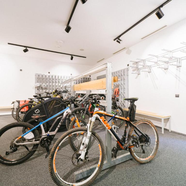 SchartnerAlm - Apartamento de 1 dormitorio - 11