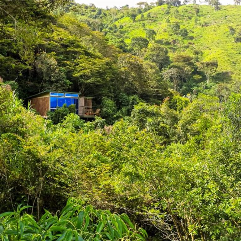 ANCESTRAL GLAMPING - One-Bedroom Chalet - 1