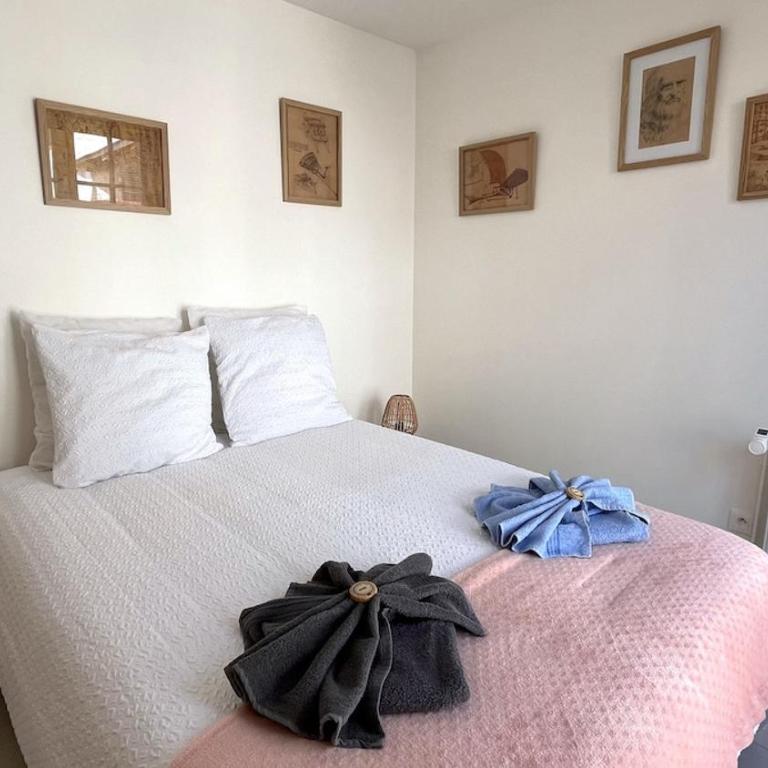 Le Léonard 100 m Château d'Amboise-4p- 3 étoiles - Apartment mit 2 Schlafzimmern - 12