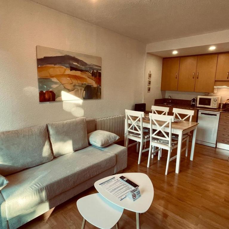 C20 - Alojamiento en Edif. Pirineos Cerler - Villmor - Apartment mit 1 Schlafzimmer - 11