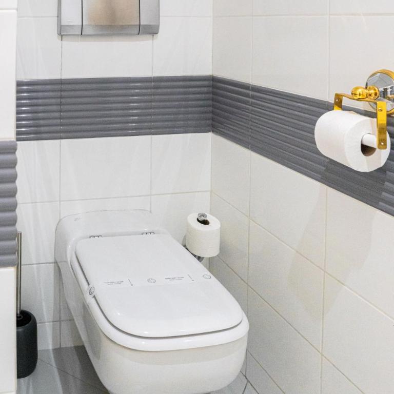 Logis Hotel Diana - Suite Junior avec Balcon - 9
