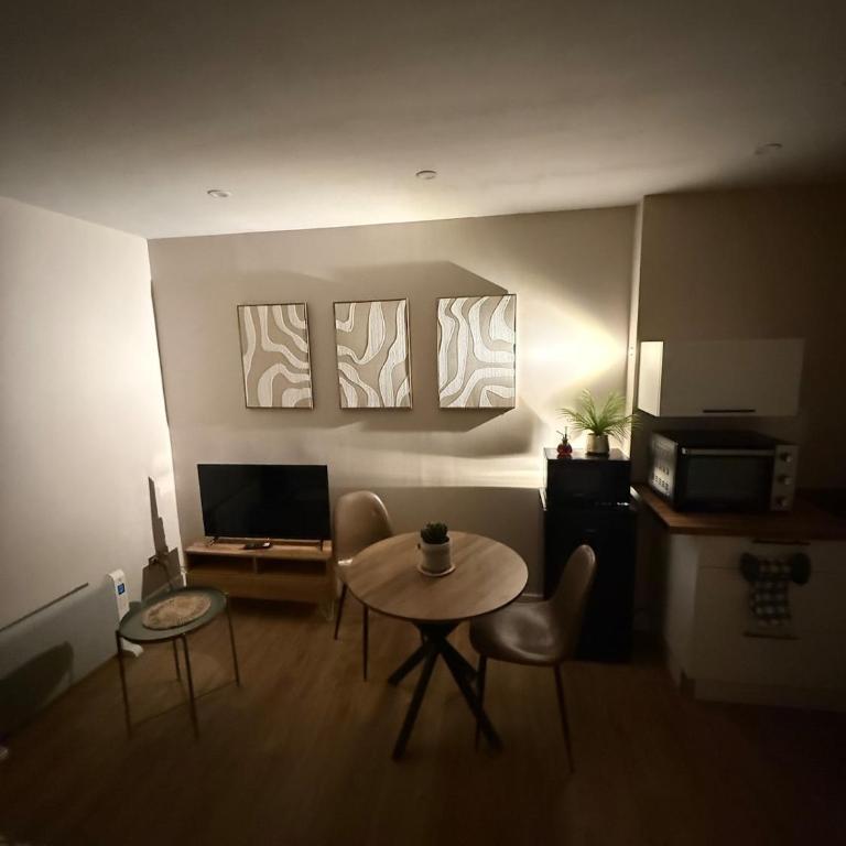 Studio proche des cures - Appartement 1 Chambre - 9