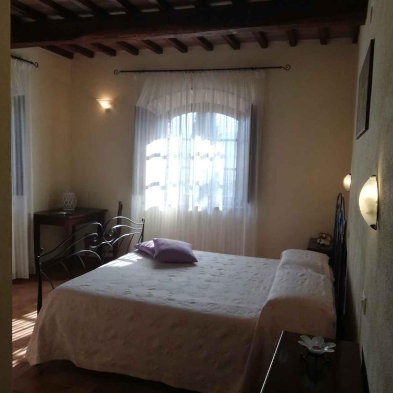 Holiday home in Montalcino - Toskana 24097 - Casa Vacanze - 42