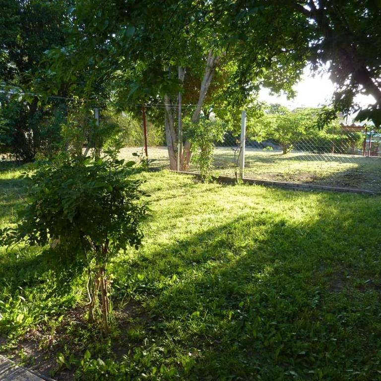 MariaAurelia - Apartamento de 3 dormitorios - 8