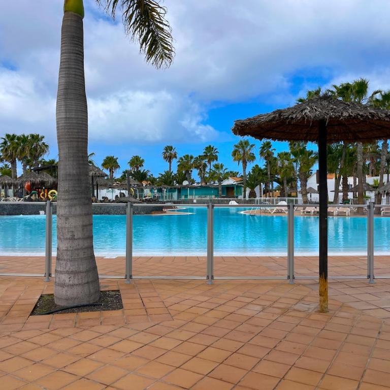 Oasis Dunas 406 near the pool by B-Rent - Apartamento de 1 dormitorio - 26