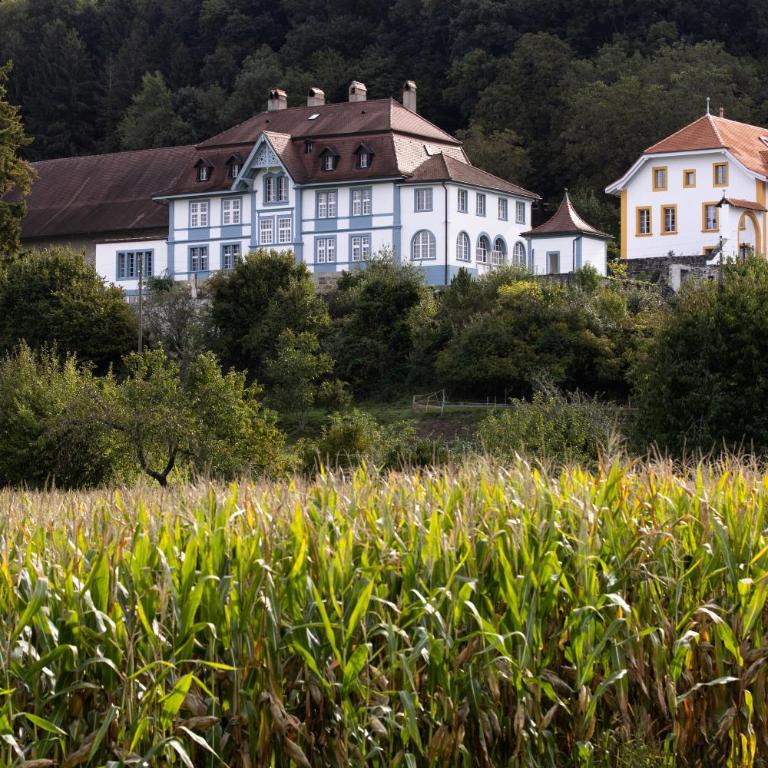 Château de Marnand - Duplex à la ferme - Apartment mit 2 Schlafzimmern - 1