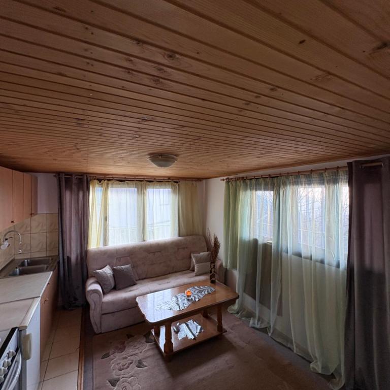 Kuca Bistrik - Apartman sa 1 Spavaćom Sobom - 5