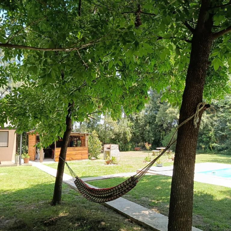 Quinta Roca 659 - Casa con 1 dormitorio - 2