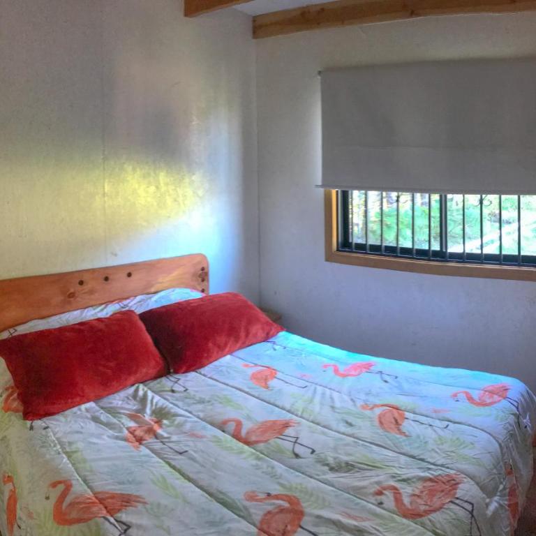 Cabañas el Alba Villarrica - Casa de 2 dormitorios - 12