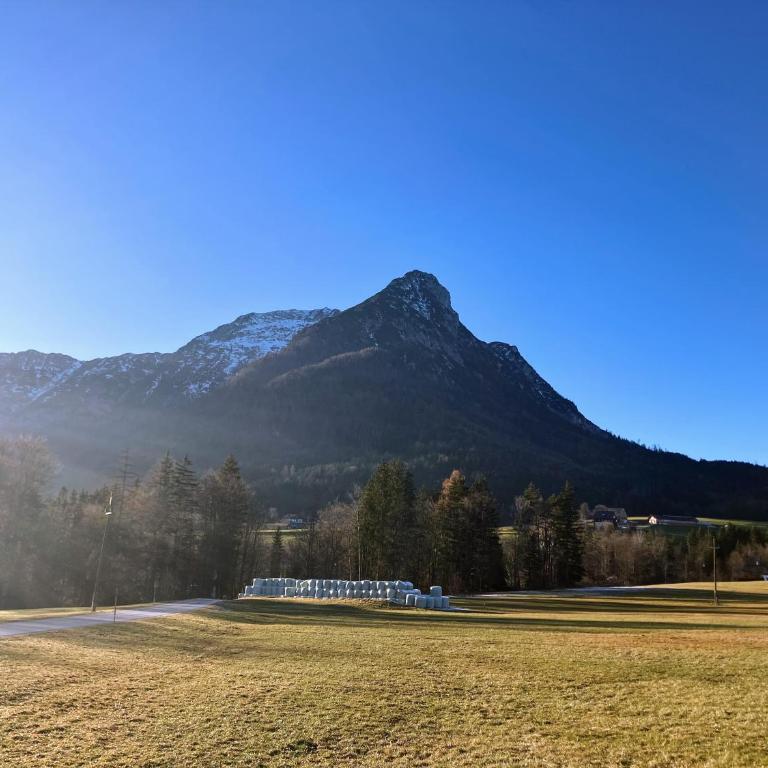 Dachstein Stüberl - Appartement avec Vue et Balcon - 31