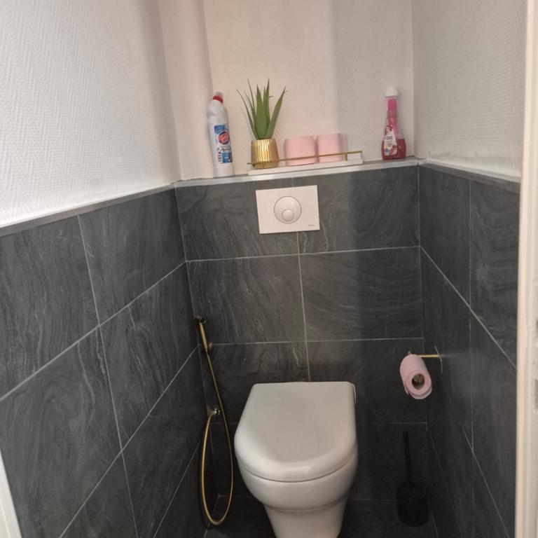 Lanfonnet t3 Annecy - Appartement 2 Chambres - 39