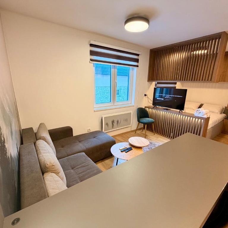 Jahorina Ski Apartment - One-Bedroom Apartment - 12