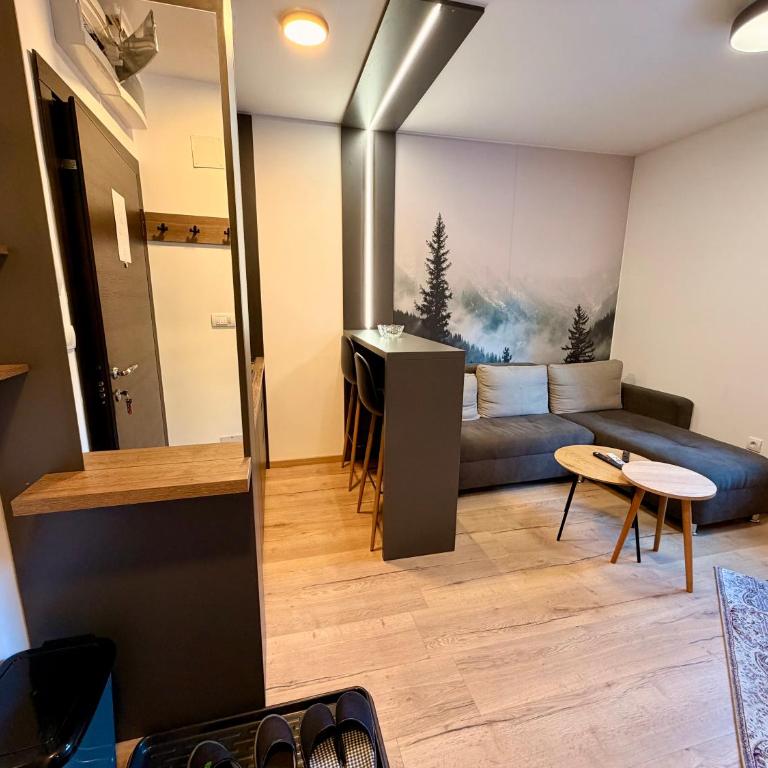Jahorina Ski Apartment - One-Bedroom Apartment - 11