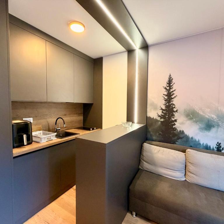 Jahorina Ski Apartment - One-Bedroom Apartment - 4