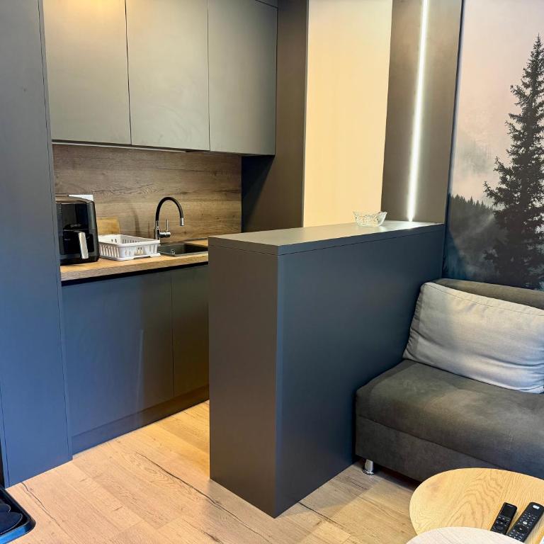 Jahorina Ski Apartment - One-Bedroom Apartment - 6