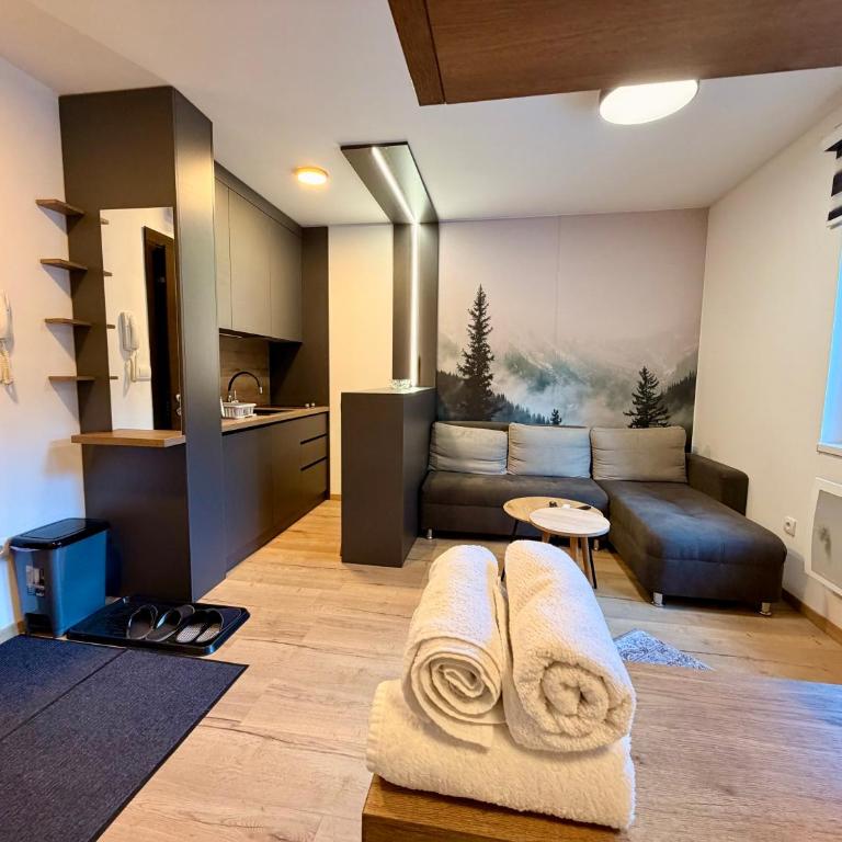 Jahorina Ski Apartment - One-Bedroom Apartment - 7