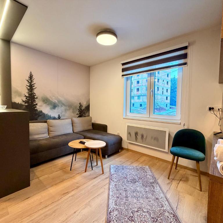 Jahorina Ski Apartment - One-Bedroom Apartment - 1