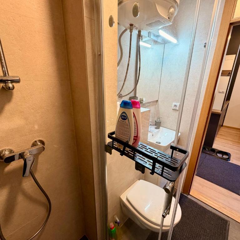 Jahorina Ski Apartment - One-Bedroom Apartment - 14