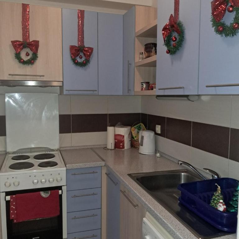 Luksuzni dupleks - Apartment - 100