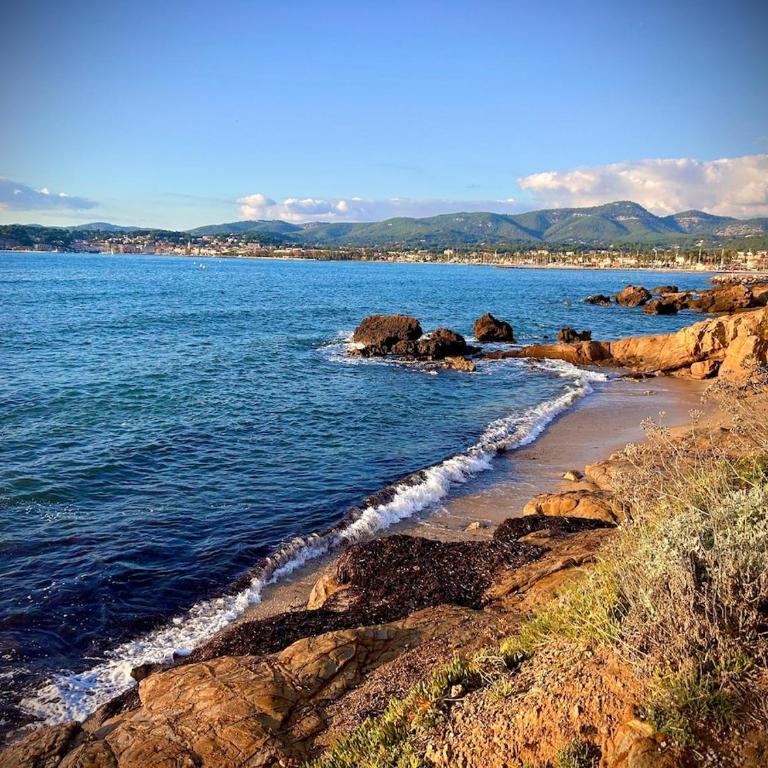 Bel appartement à 2 min de la plage à Six-Fours-les-Plages - Apartment - 30