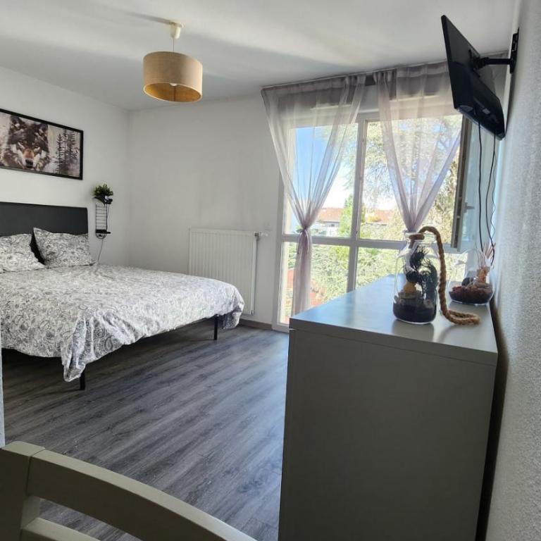 Cosy Studio Monplaisir Lumière Metro Lyon 8 - Apartamento - 4