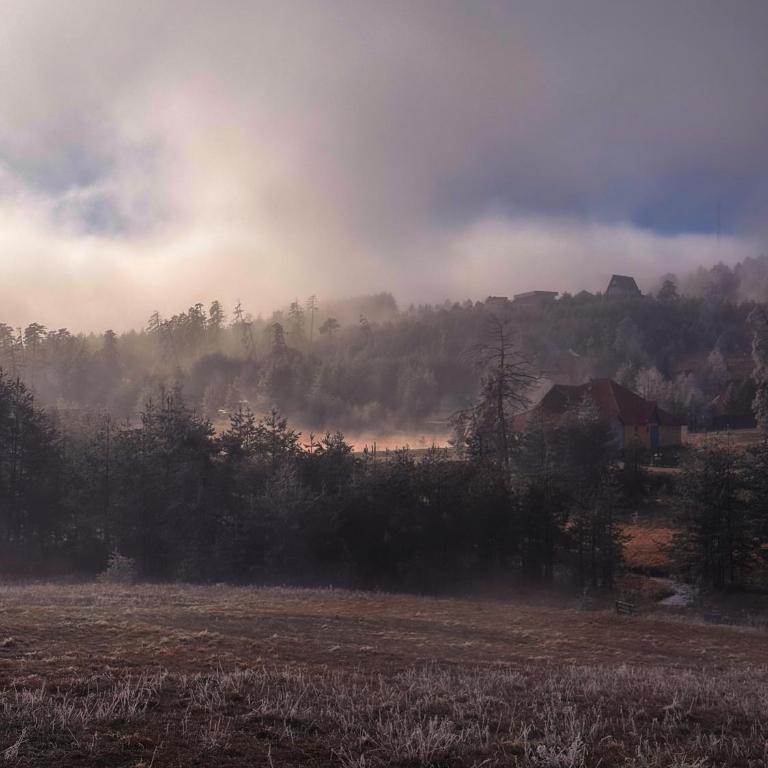 Skroviste, Zlatibor-Vodice - Kuća sa 2 Spavaće Sobe - 12