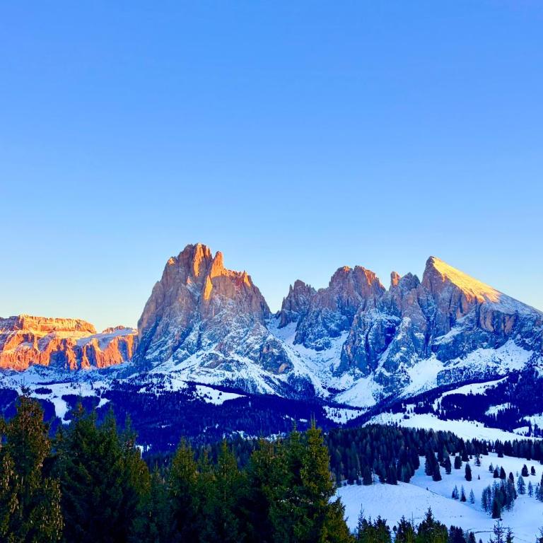 Dolomites Chalet CESA VEDLA -nature & silence - Piccolo Appartamento con 1 Camera da Letto - 20