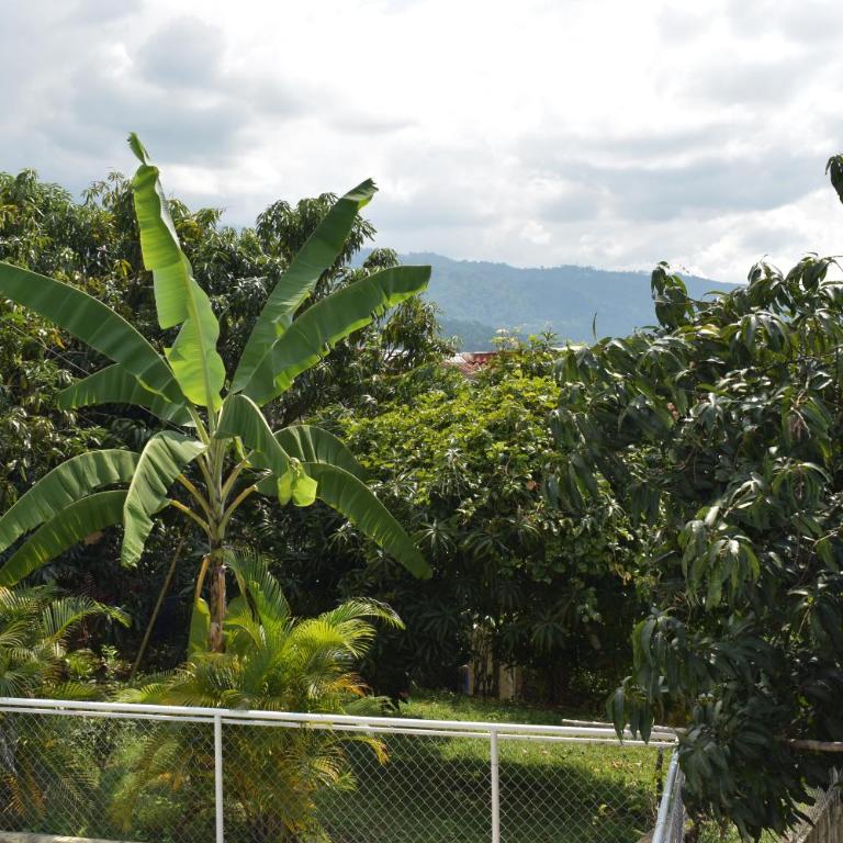 Finca el Paraiso Casa Loma, Tena - Apartment - 70