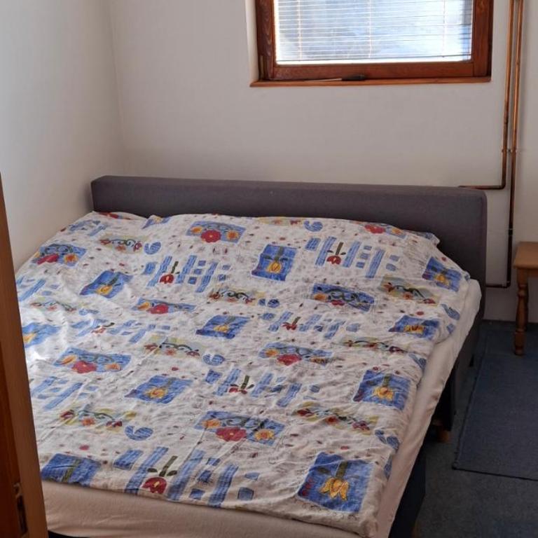 Mountain Flower - One-Bedroom Apartment - 4