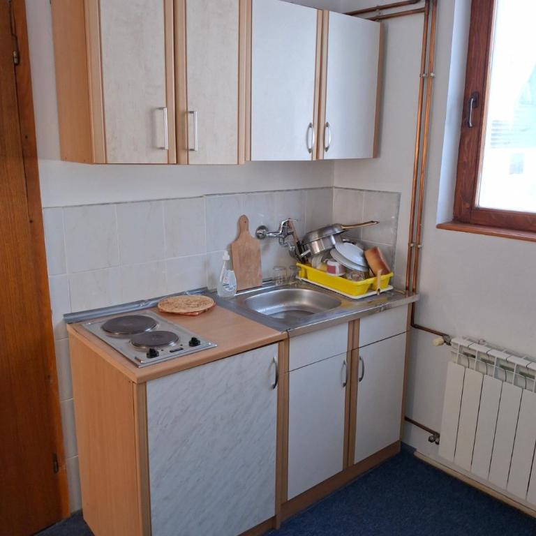Mountain Flower - One-Bedroom Apartment - 5