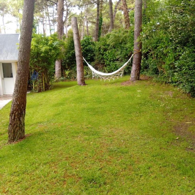 Casa Pinamar Norte - Casa de 3 dormitorios - 4