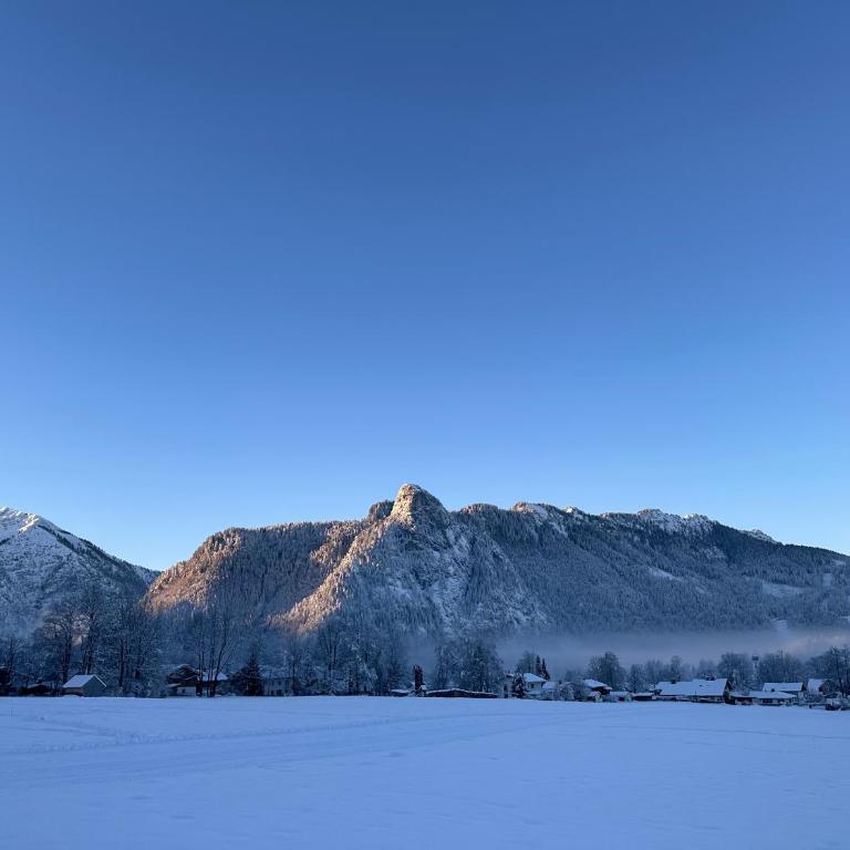 Ferienwohnung Alpenblick - Apartment mit 1 Schlafzimmer - 5