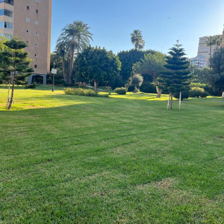 Playamar 212 - Apartamento Estándar de 3 dormitorios - 30