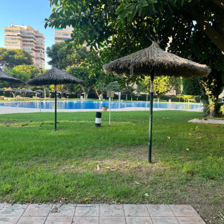 Playamar 212 - Apartamento Estándar de 3 dormitorios - 28