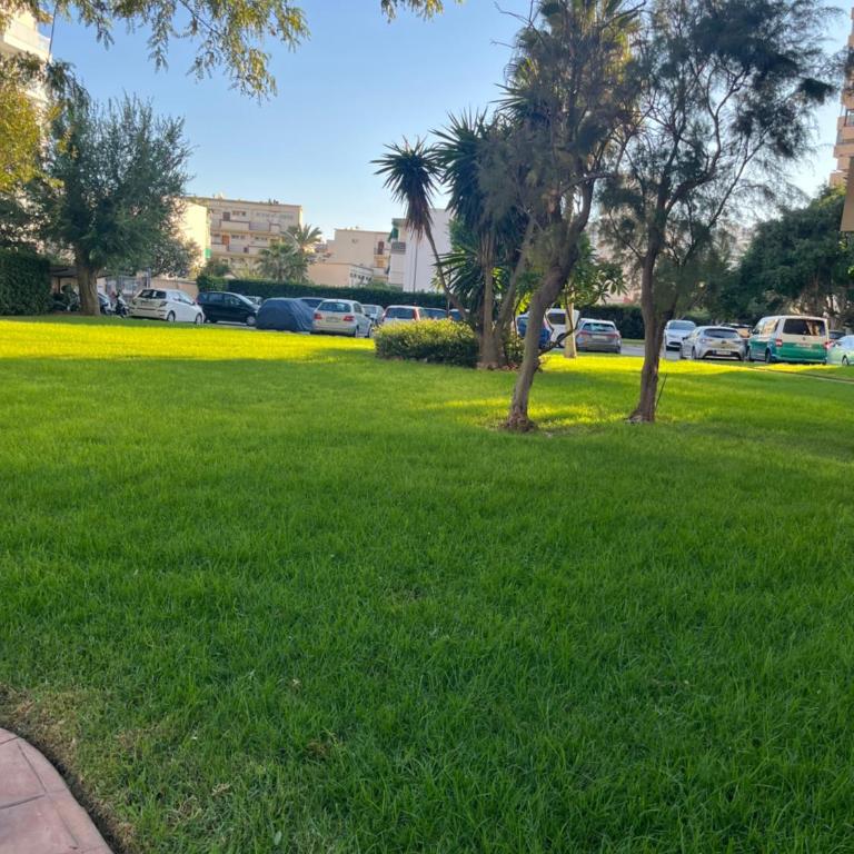 Playamar 212 - Apartamento Estándar de 3 dormitorios - 33