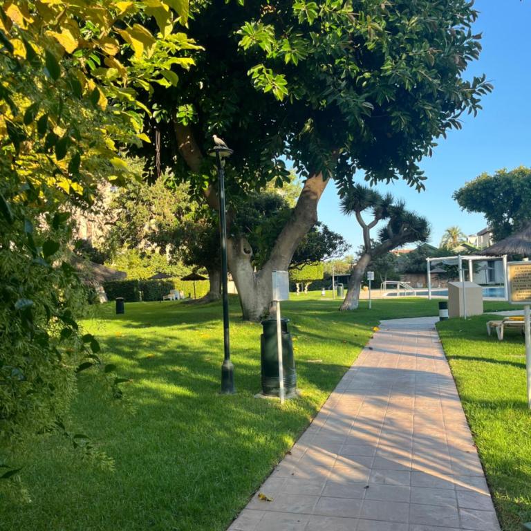 Playamar 212 - Apartamento Estándar de 3 dormitorios - 29