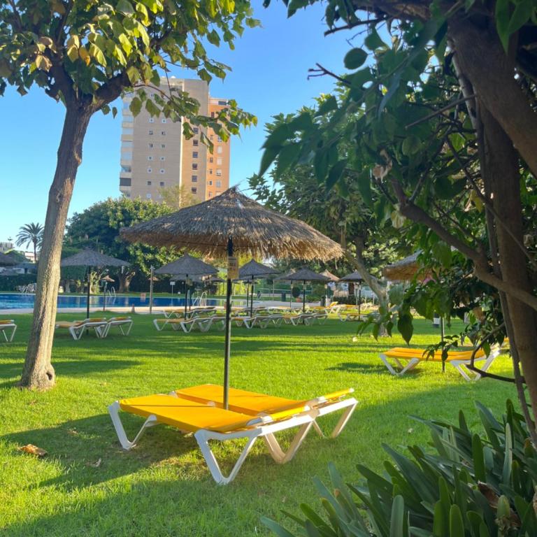 Playamar 212 - Apartamento Estándar de 3 dormitorios - 34