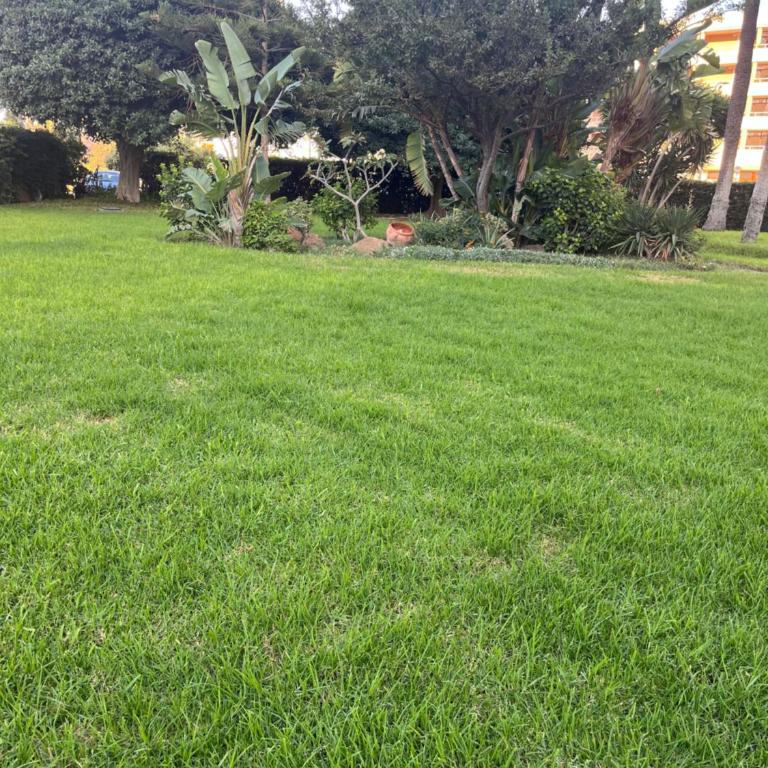 Playamar 212 - Apartamento Estándar de 3 dormitorios - 35