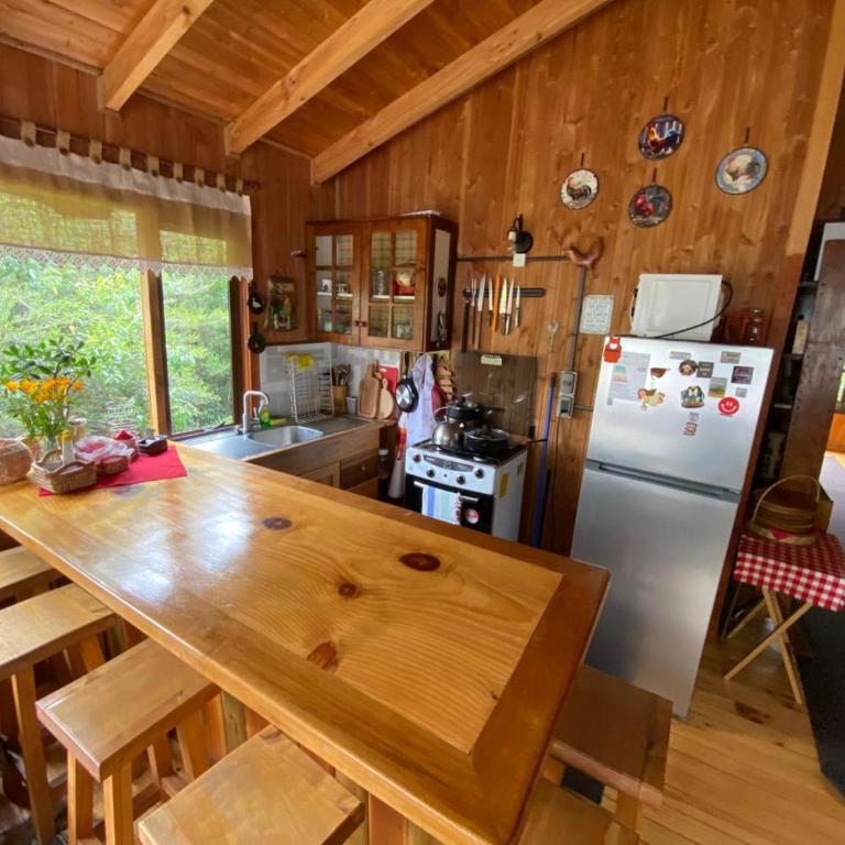 cabaña Canto Del Chucao - Apartamento de 3 dormitorios - 6