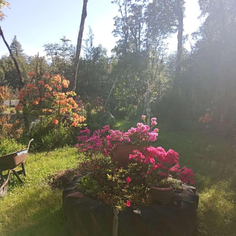 cabaña Canto Del Chucao - Apartamento de 3 dormitorios - 18