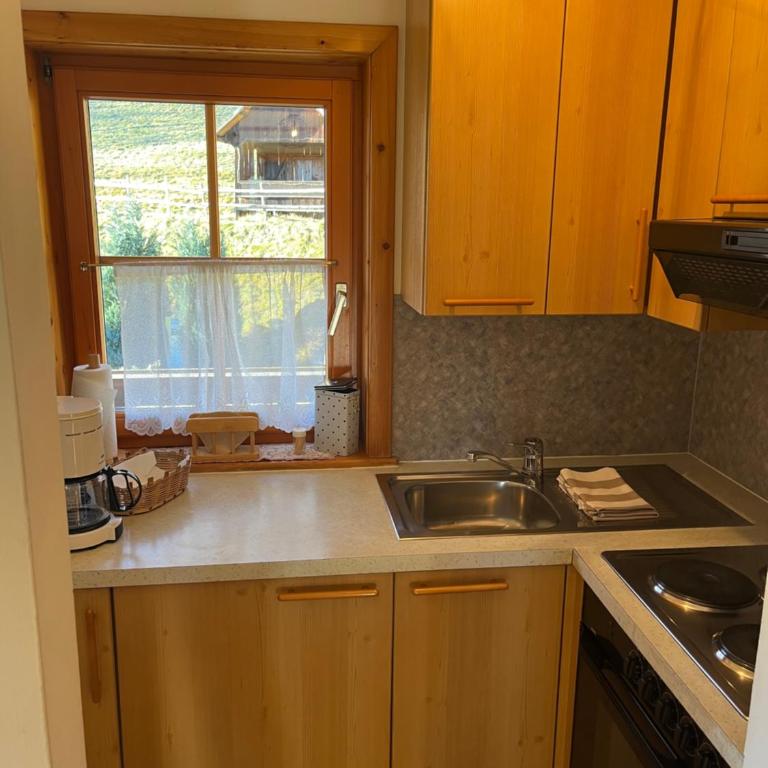 Ferienwohnung Lahnerhof - Superior Apartment - 3