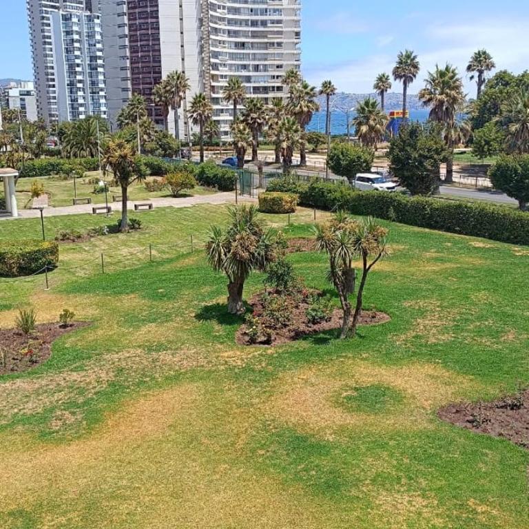 Depto Viña casino playa vista al mar - Apartment - 15