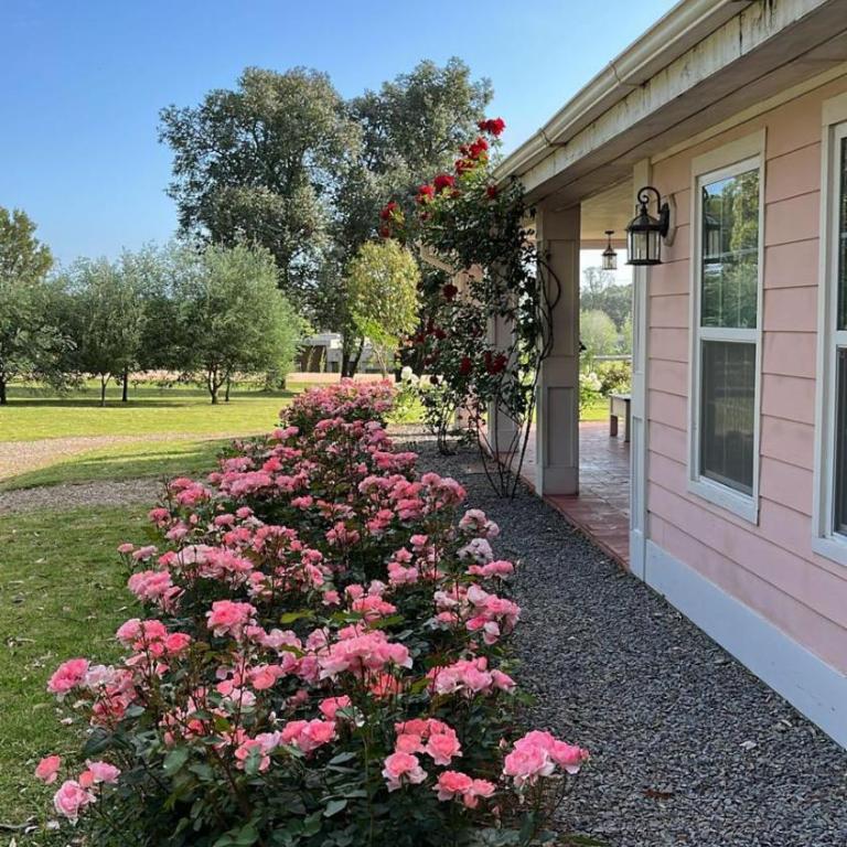 Un lugar para soñar - Casa de 3 dormitorios - 6