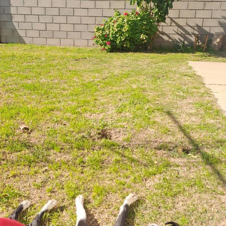 Ya ocupada, no alquilo más! - Casa de 2 dormitorios - 4