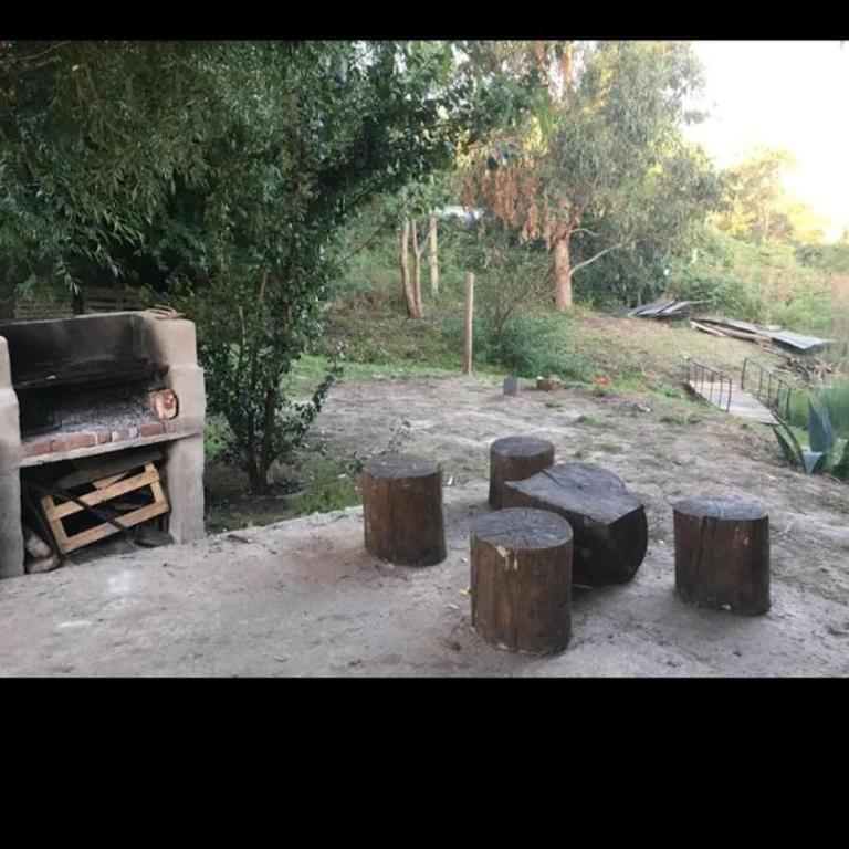 Casa Ecológica Rama & Cabañas Rústicas - Casa - 4