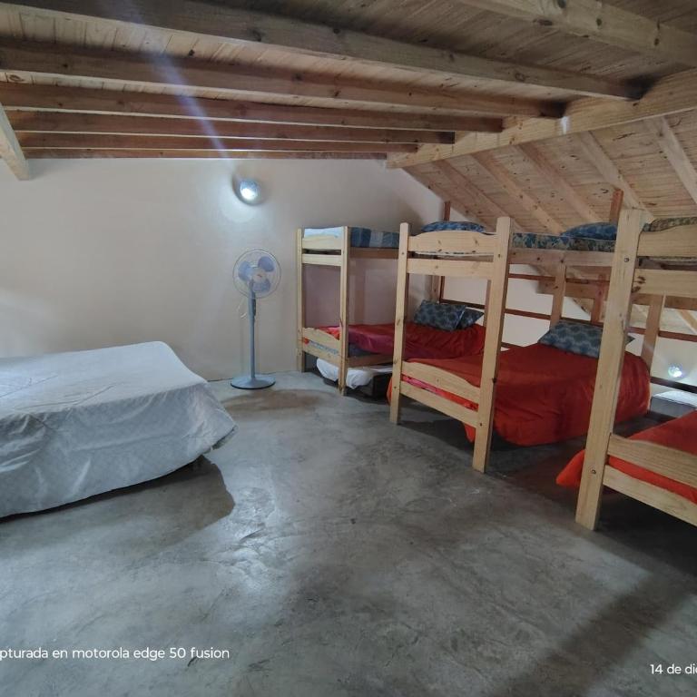 Large Duplex #1 - Casa de 3 dormitorios - 15